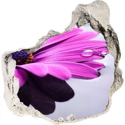 Autocolant gaură 3D O oază florală în spatele peretelui