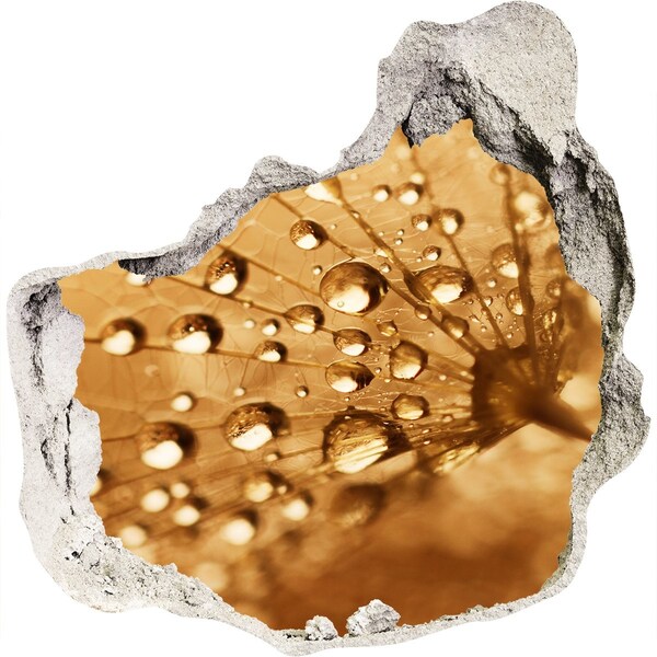 Fototapet 3D gaură în perete Picături pe o frunză