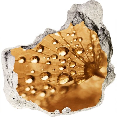 Fototapet 3D gaură în perete Picături pe o frunză