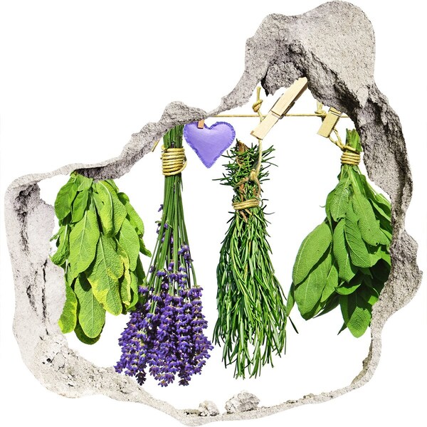 Autocolant 3D gaura cu priveliște Grădina de plante aromatice „Gauă în perete”