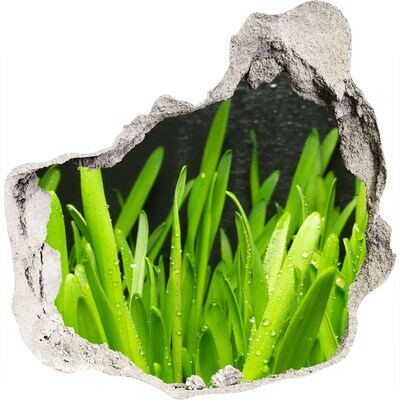 Autocolant gaură 3D Paradis verde în spatele zidului