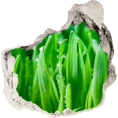 Fototapet un zid spart cu priveliște Pajiște verde cu picături de apă