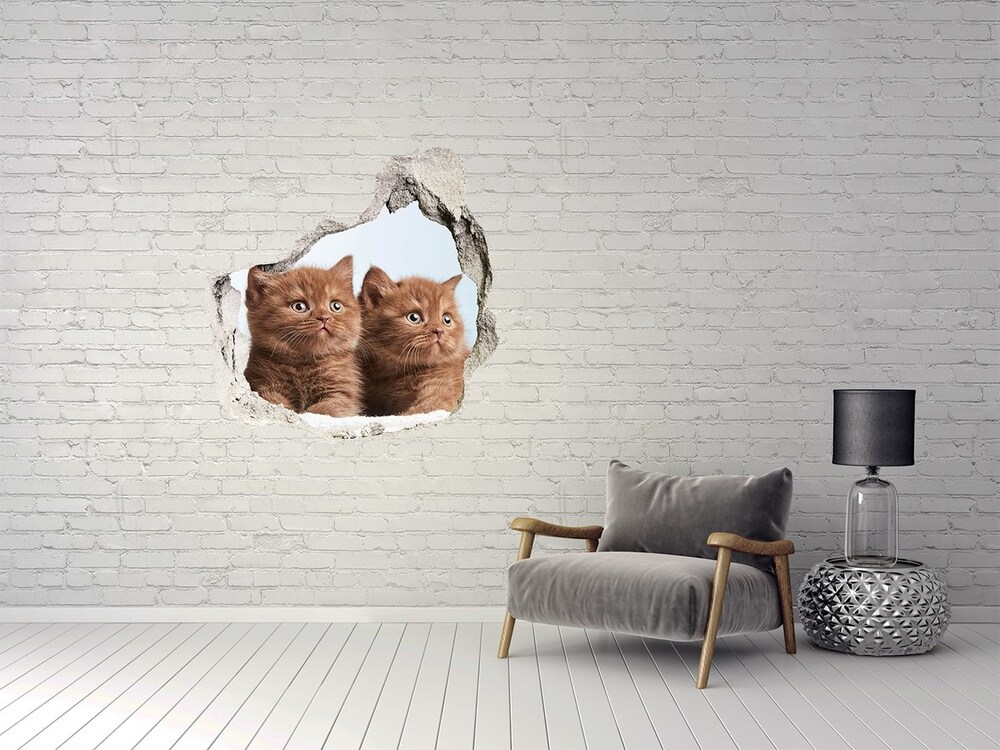 Fototapet 3D gaură în perete Pisici pe un prosop