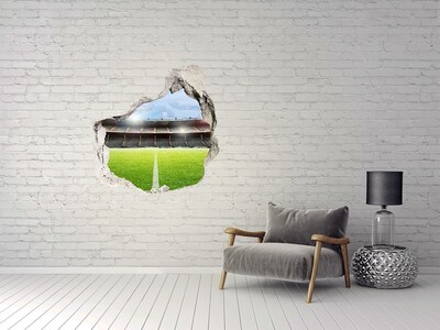 Fototapet 3D gaură în perete Mingea de minge