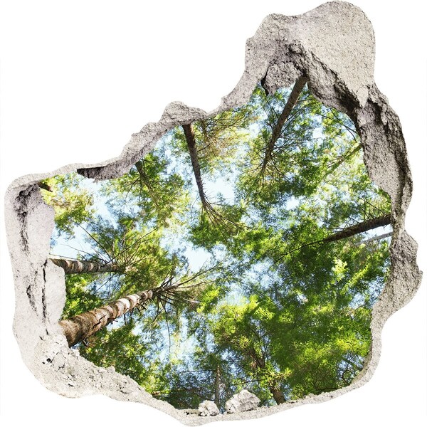 Autocolant 3D gaura cu priveliște Vedere a pădurii cu cer albastru