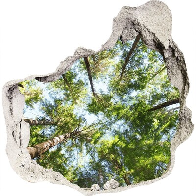 Autocolant 3D gaura cu priveliște Vedere a pădurii cu cer albastru