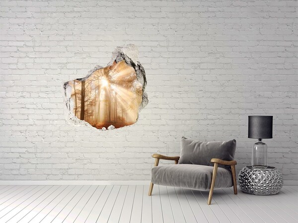 Autocolant un zid spart cu priveliște Pasul Pădurii Soarelui