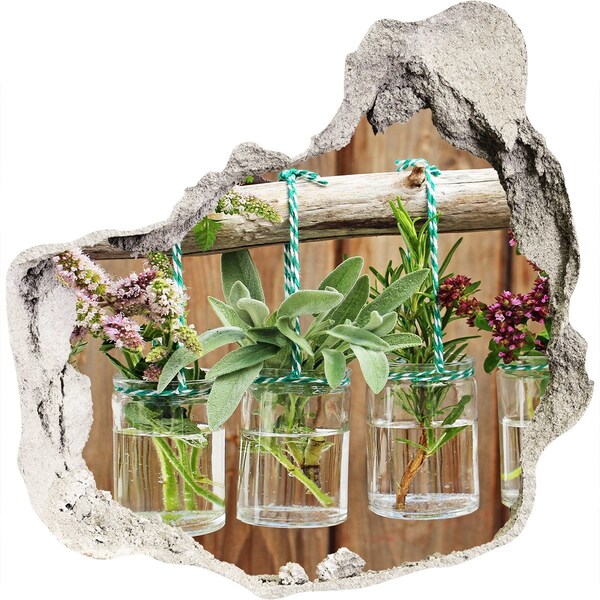 Fototapet 3D gaură în perete Grădină de plante aromatice în borcane