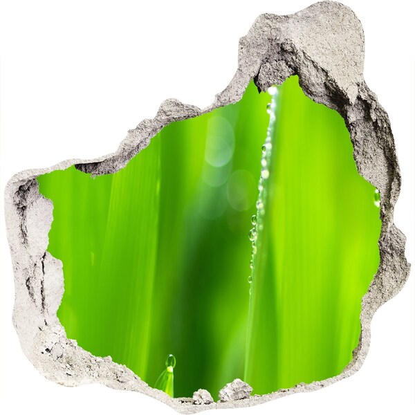 Autocolant autoadeziv gaură Pajiște verde cu picături de apă