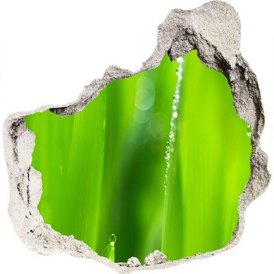 Autocolant autoadeziv gaură Pajiște verde cu picături de apă