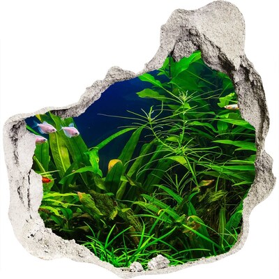 Fototapet un zid spart cu priveliște Lumea subacvatică din acvariu