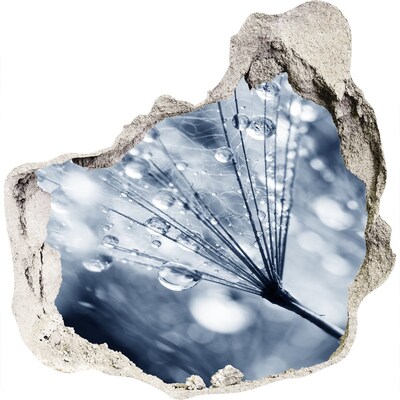 Autocolant autoadeziv gaură Picături de rouă pe o păpădie