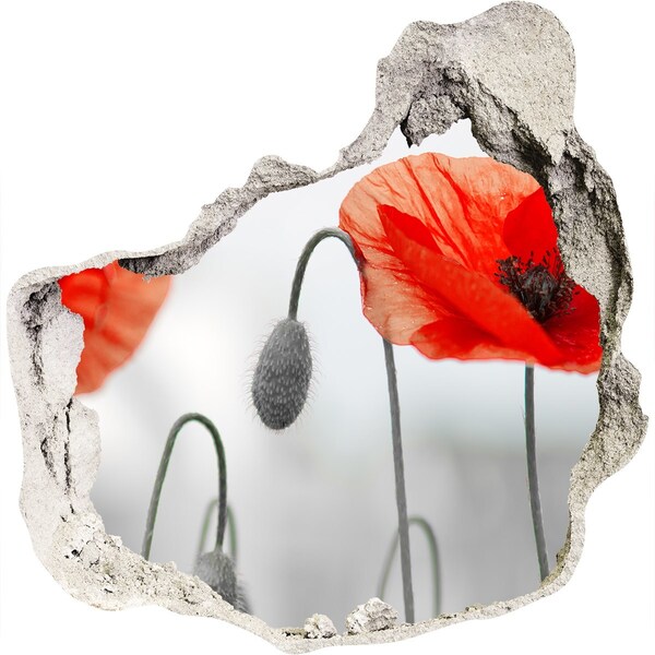 Fototapet 3D gaură în perete Flori într-o gaură în perete