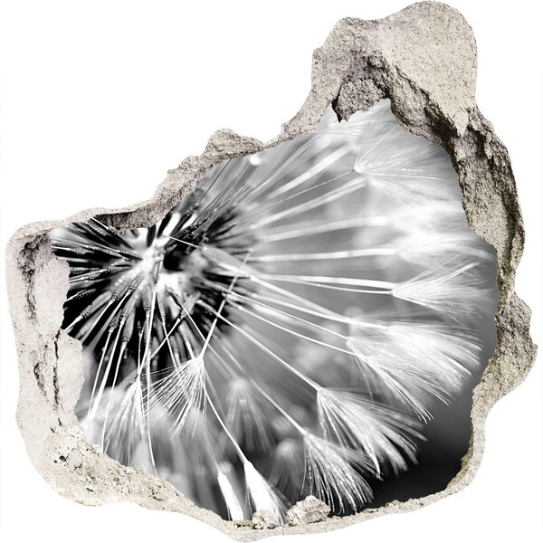 Autocolant un zid spart cu priveliște Păpădii în alb și negru