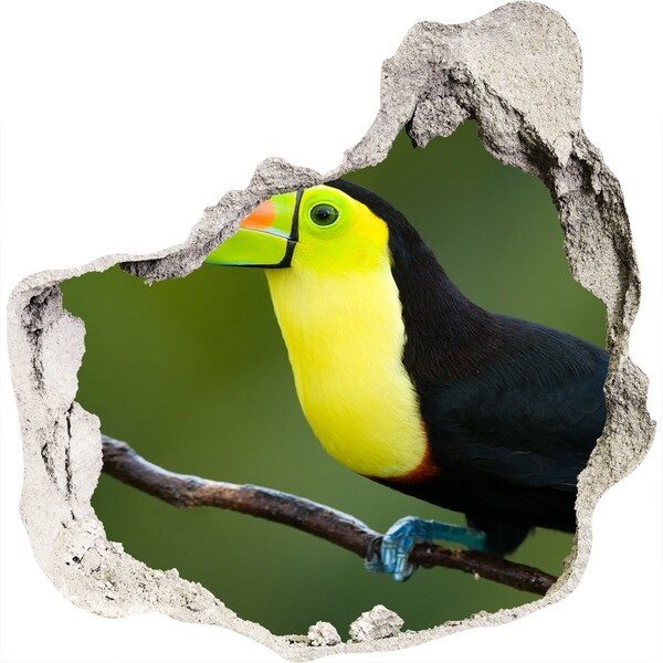 Autocolant de perete gaură 3D Toucan