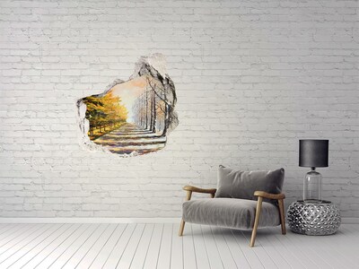 Fototapet 3D gaură în perete Aleea de copaci de toamnă
