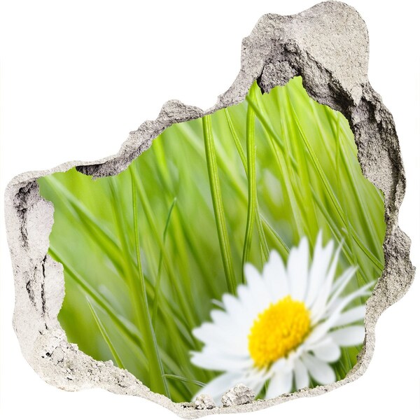 Autocolant de perete gaură 3D O floare într-o grădină verde