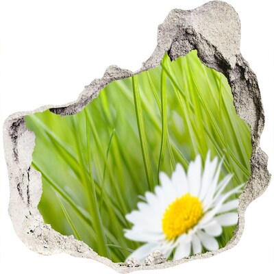 Autocolant de perete gaură 3D O floare într-o grădină verde