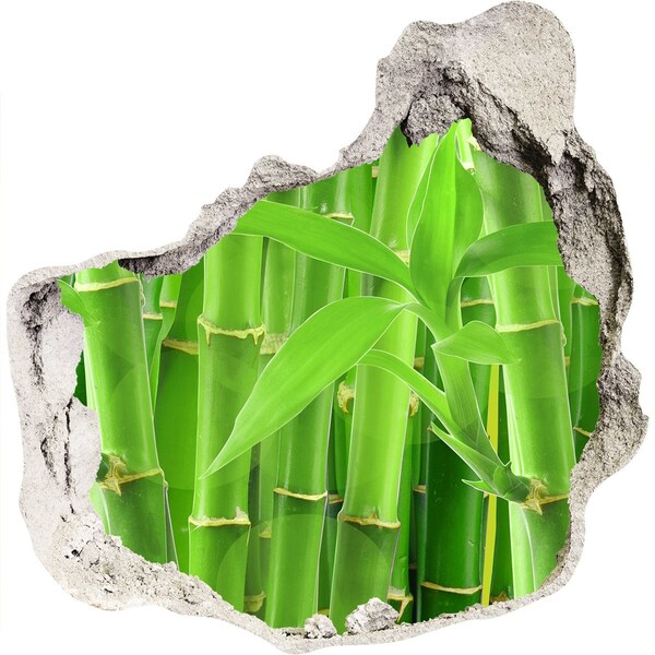 Autocolant de perete gaură 3D Pădure verde de bambus