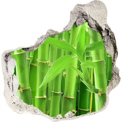 Autocolant de perete gaură 3D Pădure verde de bambus