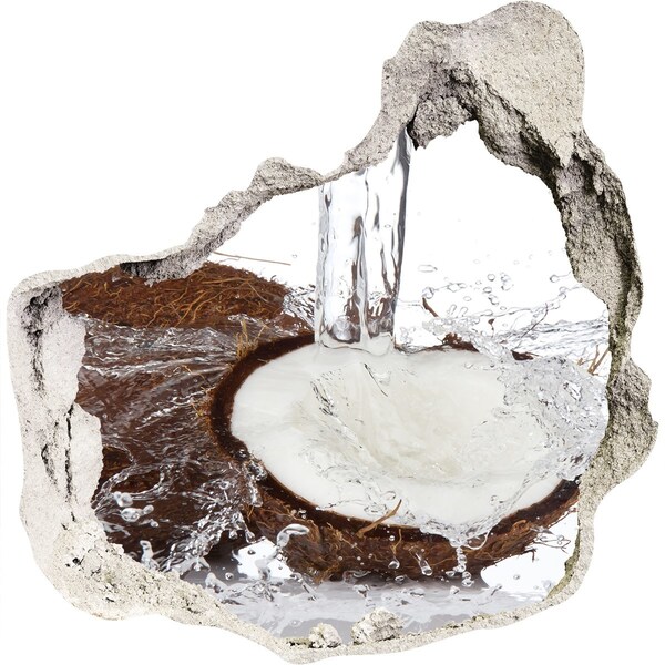 Fototapet 3D gaură în perete Nucă de cocos într-un șuvoi de apă