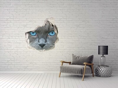 Fototapet 3D gaură în perete Cat ochi albaștri
