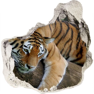 Fototapet un zid spart cu priveliște Tiger pe un copac