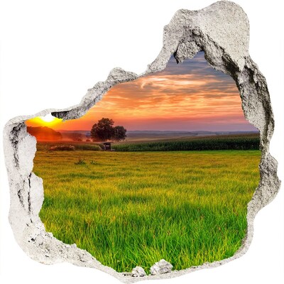 Fototapet 3D gaură în perete Sunset Meadow