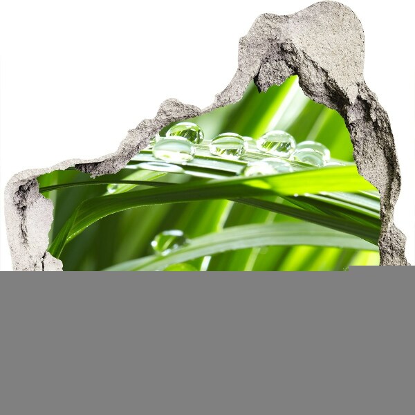 Autocolant de perete gaură 3D Pajiște verde cu picături de apă