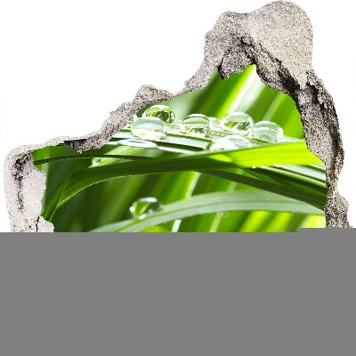 Autocolant de perete gaură 3D Pajiște verde cu picături de apă