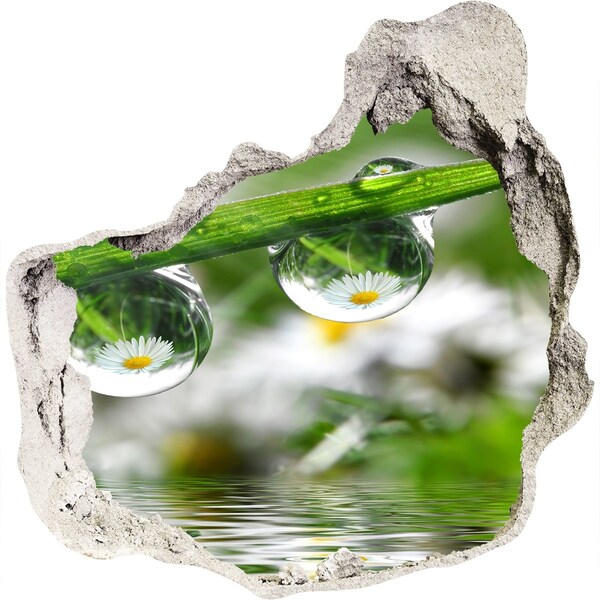 Autocolant autoadeziv gaură Oază florală cu picături de apă