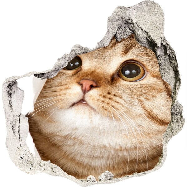 Autocolant autoadeziv gaură Pisică într-o gaură în perete