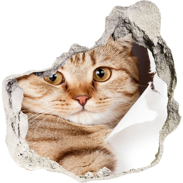 Autocolant 3D gaura cu priveliște Pisică într-o gaură în perete