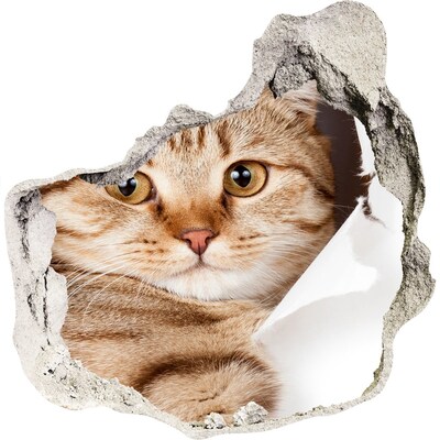 Autocolant 3D gaura cu priveliște Pisică într-o gaură în perete