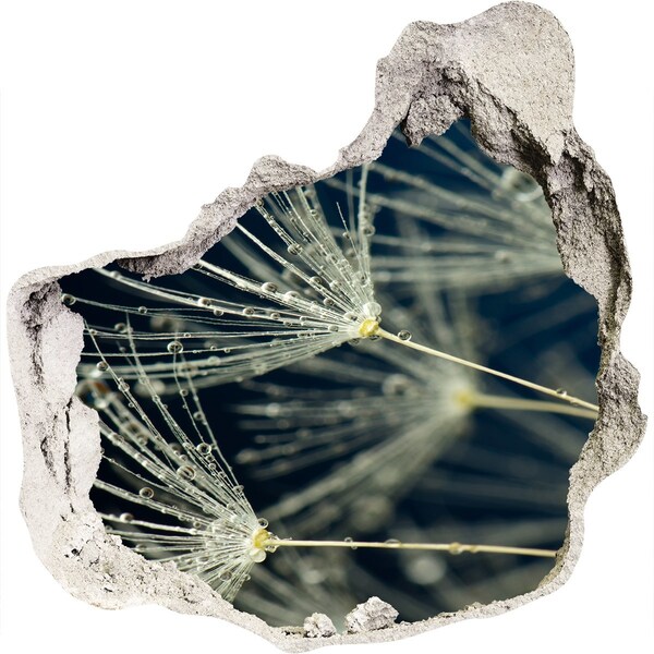 Fototapet un zid spart cu priveliște Flori de păpădie în apă