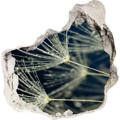 Fototapet un zid spart cu priveliște Flori de păpădie în apă