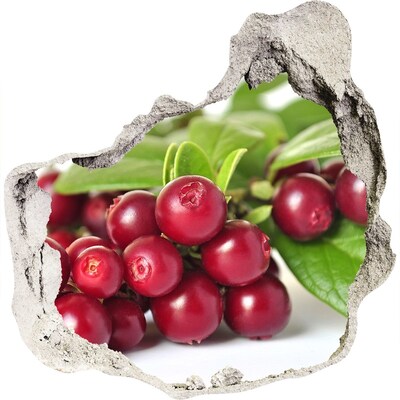 Autocolant autoadeziv gaură Gaură fructată în perete