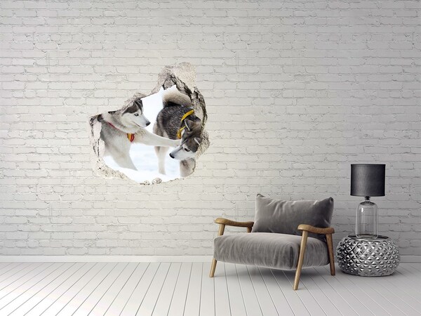 Autocolant un zid spart cu priveliște Husky siberian în acțiune