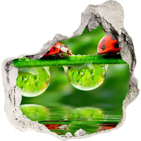 Autocolant gaură 3D O picătură de natură cu o buburuză