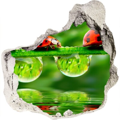 Autocolant gaură 3D O picătură de natură cu o buburuză