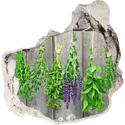 Autocolant de perete gaură 3D Grădina de plante aromatice din spatele zidului