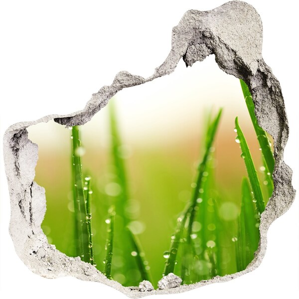 Autocolant de perete gaură 3D Pajiște verde cu picături de apă