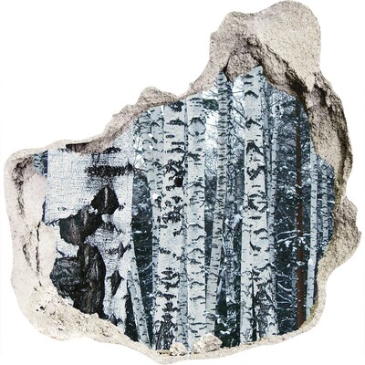 Autocolant de perete gaură 3D Pădure de mesteacăn de iarnă