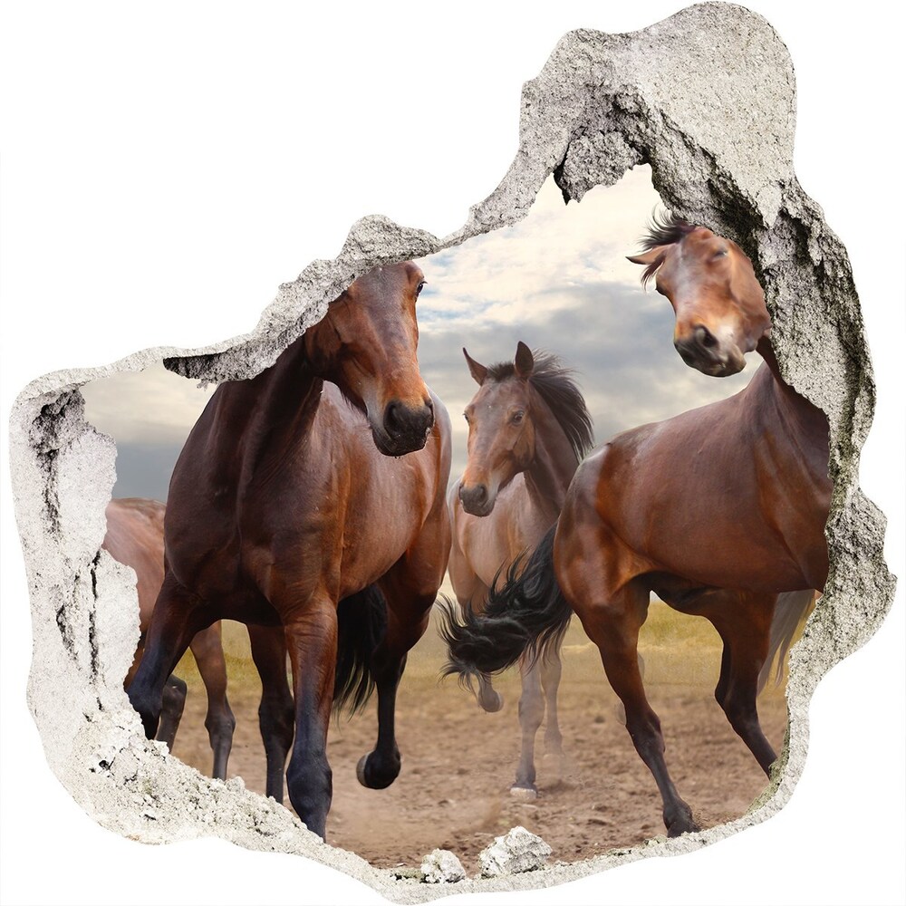 Autocolant un zid spart cu priveliște cinci cai