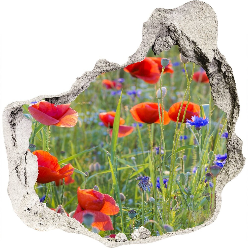 Autocolant gaură 3D flori de câmp