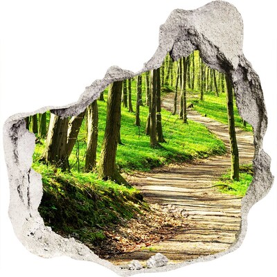 Autocolant un zid spart cu priveliște Cale de pădure în soare