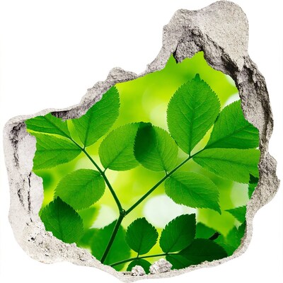 Autocolant gaură 3D O oază verde în beton