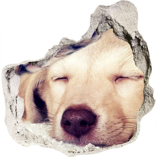 Autocolant autoadeziv gaură Câine drăguț într-o gaură în perete