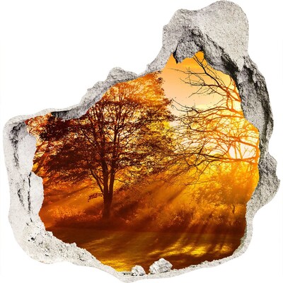 Autocolant autoadeziv gaură Raze aurii de soare în pădure