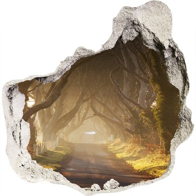 Autocolant 3D gaura cu priveliște O cărare printre copaci